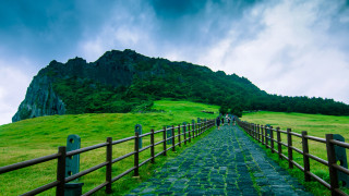 Grassy hill path wooden fence - a grassy hill free wallpaper