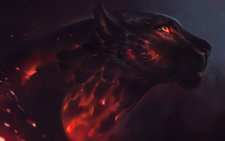 Black cat red eyes flaming - a black tail free wallpaper