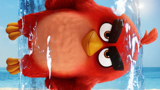 Red bird beach blue sky - a clear blue sky in the background free wallpaper