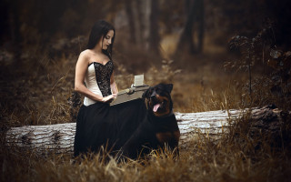 Woman dress log dog laptop - a dog in front free wallpaper