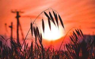 Sunset cross grass ceremony bernd - cinematic free wallpaper for desktop