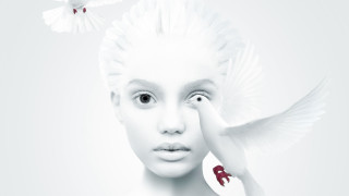 White haired woman bird on - over her head free wallpaper