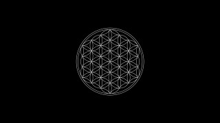 Flower of life symbol black - a white outline free wallpaper