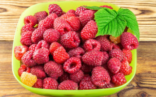 Green bowl raspberries mint wooden - a wooden surface free wallpaper