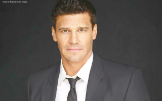 Man suit tie posing picture - a man in a suit free wallpaper