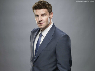 Man suit tie photo shoot - a man in a suit free wallpaper