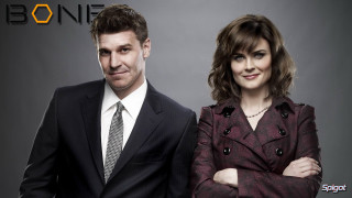 Man woman suit tie posing - free portrait wallpaper