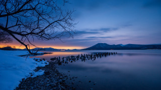 Lake rocks tree mountain evening - a tree in the foreground free wallpaper