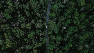 Car forest road tilt shift - the background free wallpaper