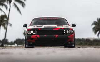 Red camo car palm trees - a cloudy sky in the background free wallpaper