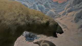 Polar bear museum exhibit penguin - damien hirst free wallpaper