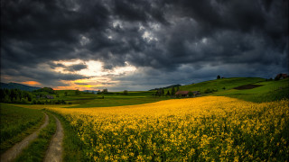 Dirt road house cloudy sky - the cloud free wallpaper
