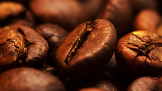 Coffee beans macro photorealism venous - ceferí olivé free wallpaper