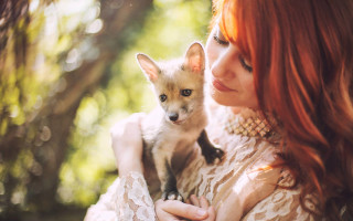 Woman fox forest illustration bokeh - a forest setting free wallpaper
