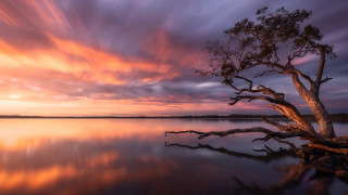 Water tree sunset autumn clouds - a colorful sky free wallpaper