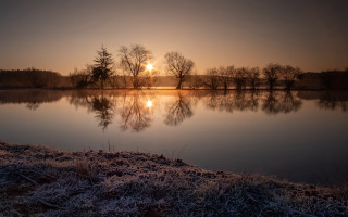 Lake sunset trees field reflective - reflective free wallpaper