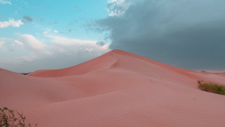 Large sand dune bush cloudy - amir zand free wallpaper