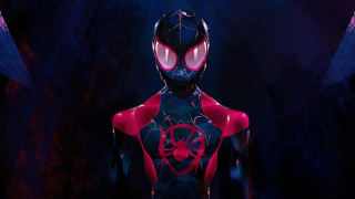 Man red black spiderman mask - his face and chest free wallpaper
