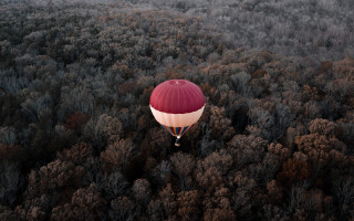 Red white balloon autumn forest - over a forest free wallpaper