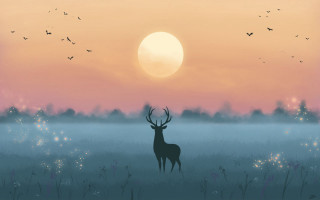 Deer sunset field birds mountain - a sunset in the background and birds free wallpaper