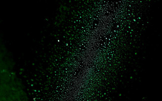 Green water drops macro starry - anthony s waters free wallpaper