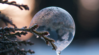 Frozen bubble snowy branch macro - macro art free wallpaper