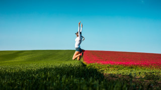Woman handstand flowers grass summer - elke vogelsang free wallpaper
