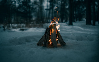 Fire snow trees winter minimalism - caspar wolf free wallpaper