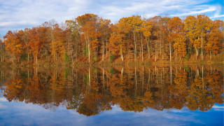 Autumn lake reflections forest sky - reflection free wallpaper