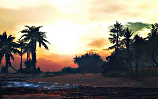 Sunset river palm trees cloudy - a sky free wallpaper