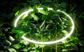 Light circle green leaves night - the dark night time free wallpaper