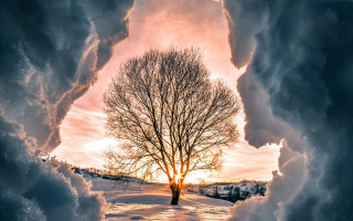Snowy tree sunset cityscape clouds - winter free wallpaper for desktop