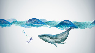 Man whale swimming gradient storybook - a whale free wallpaper