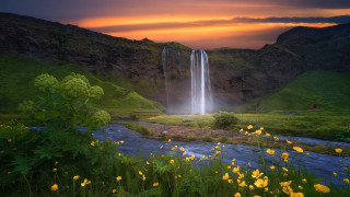 Waterfall yellowflowers greenvalley impressionist nature - impressionist free wallpaper