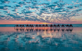 Horse riding water sunset beach - a group of people riding free wallpaper
