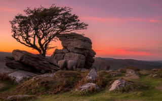 Tree rock formation mountains sunset - rich moody colour free wallpaper