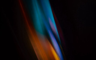 Blurry vase flower black background - center free wallpaper