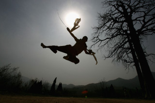 Man kite air tree sun - the sun behind free wallpaper