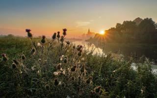 River flowers castle sunset ecological - sunrise free wallpaper