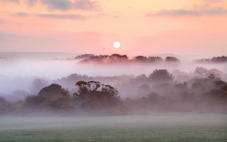 Foggy field trees sunset mountain - volumetric fog free wallpaper