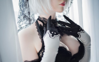 Gothic cosplay silverhair blackdress cat - a black cat free wallpaper