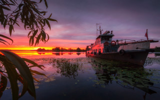 Boat sunset water leaves city - the foreground and a body of water free wallpaper