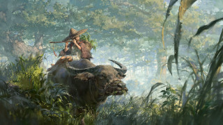 Man buffalo forest fantasy art - tall grass and trees free wallpaper