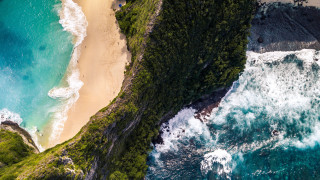 Beach sandy shore water forest - sandy free wallpaper