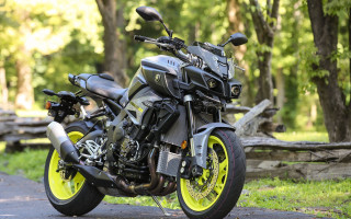 Motorcycle forest road fence bush - cobra free wallpaper