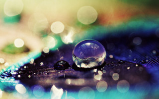 Water drop feather bokeh macro - a close up of a water drop free wallpaper