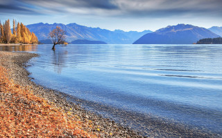 Lone tree lake mountains cloudy - a lone tree free wallpaper