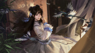 Woman white dress bird chun - a painting of a woman free wallpaper