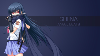 Anime girl long hair sword 5 - blue skirt free wallpaper