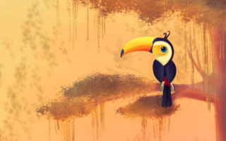 Colorful bird yellow beak black - beak free wallpaper